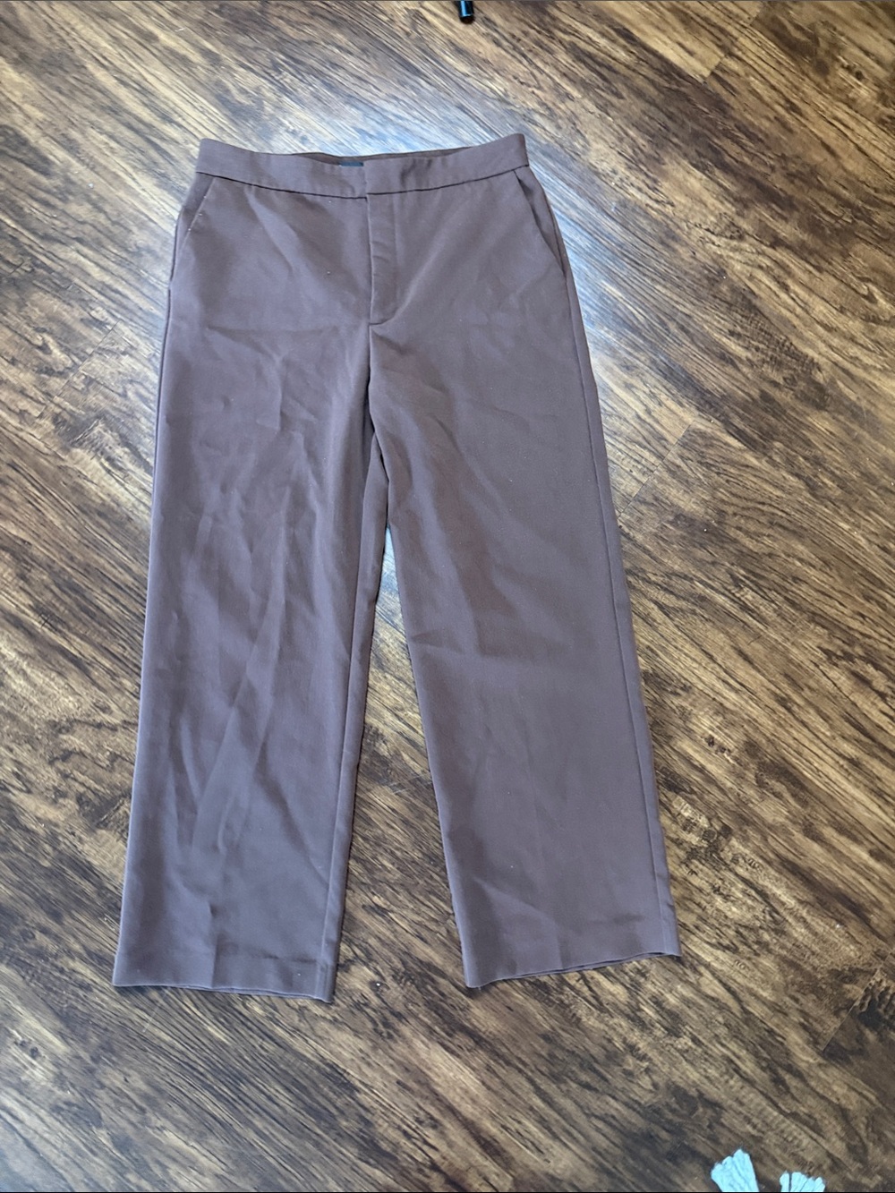 Mango Straight-Leg Pants in Chocolate Brown
